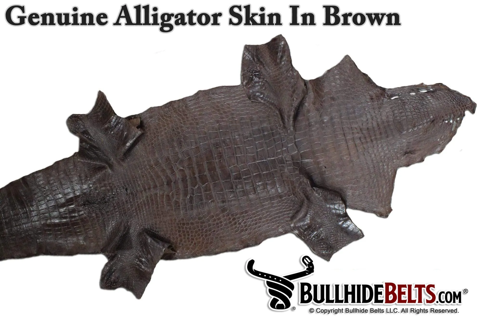 Black Alligator Money Clip Wallet With Credit Card Slots