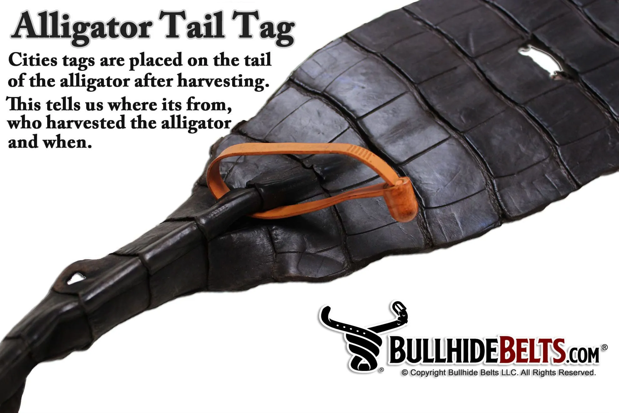 Black Alligator Money Clip Wallet With Credit Card Slots