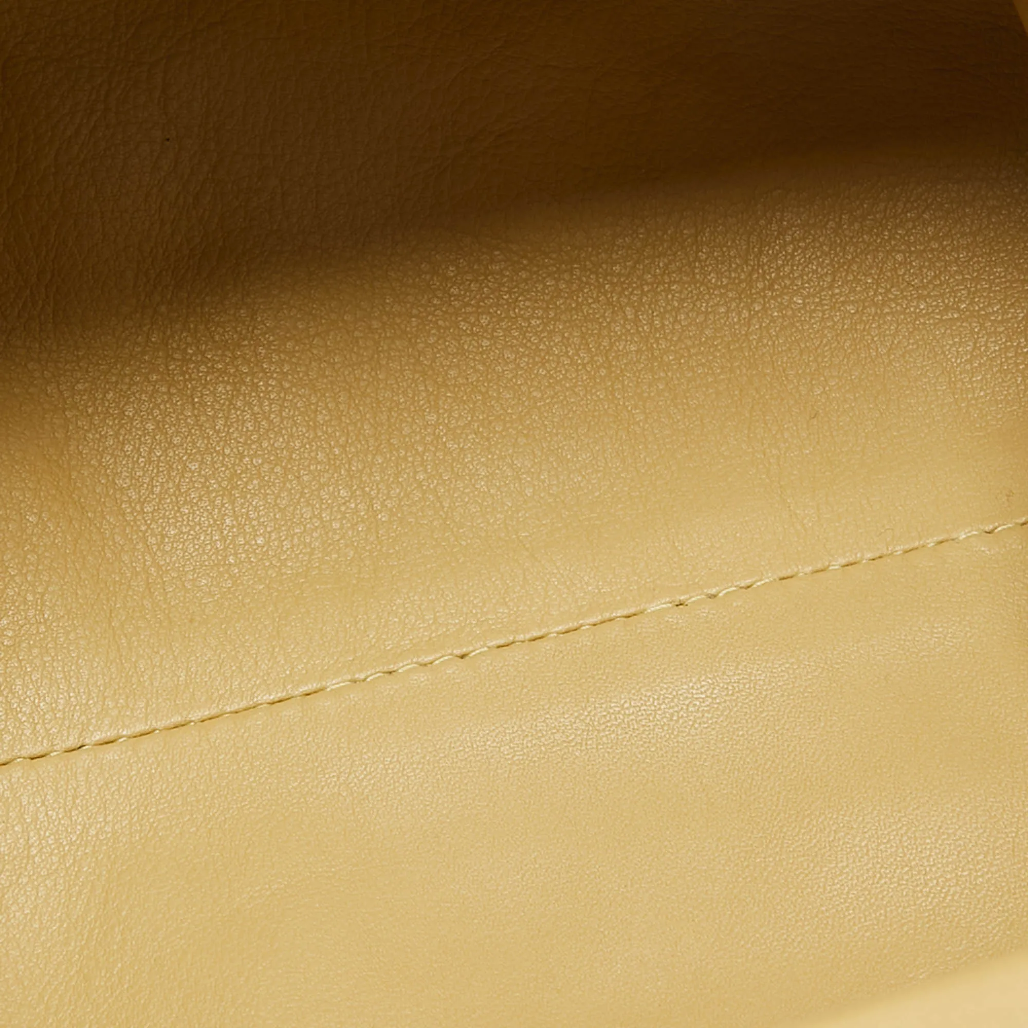 BOTTEGA VENETA Porridge Leather Mini The Pouch Bag