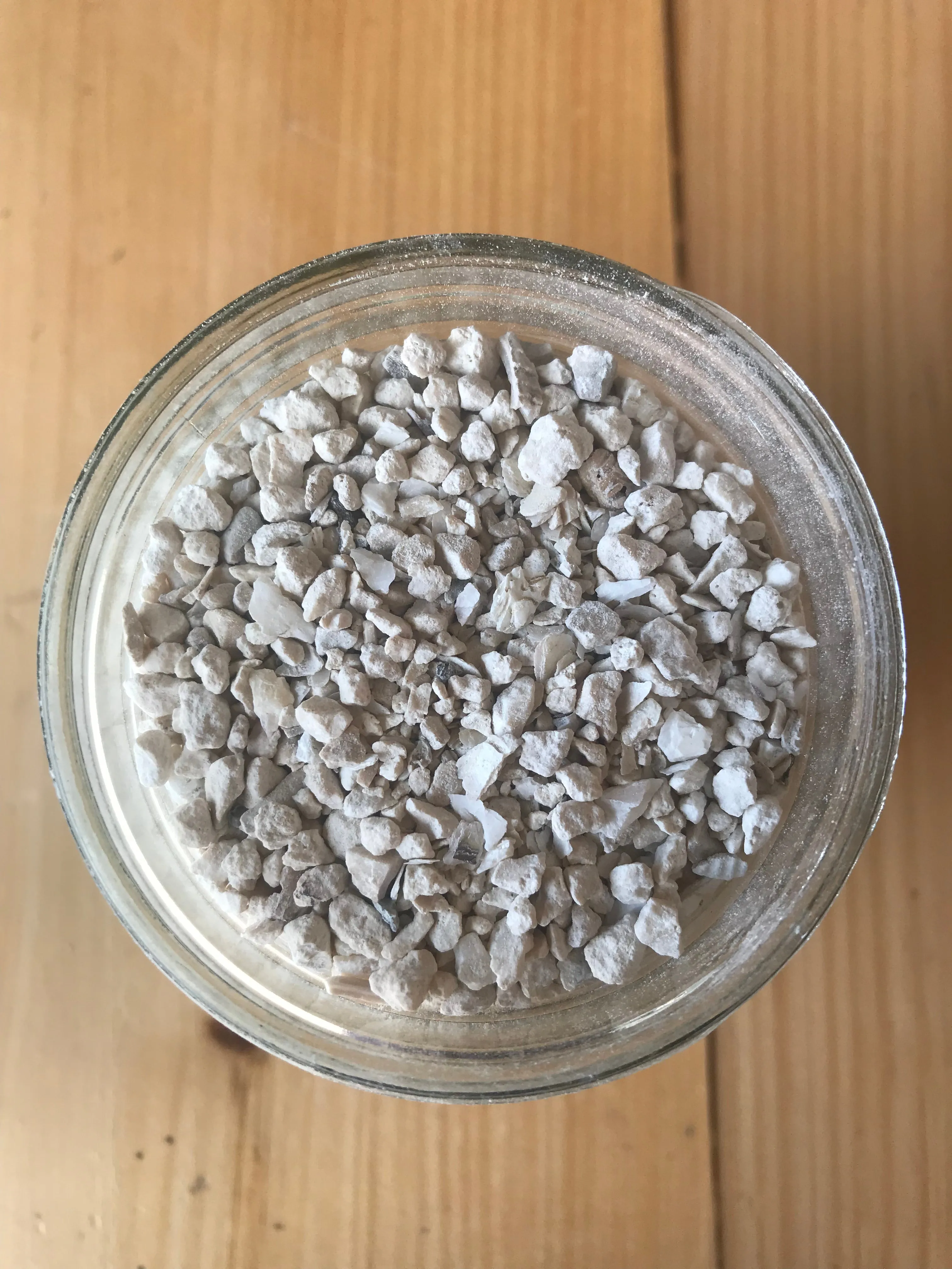 Coastal Oyster Shell Calcium Supplement