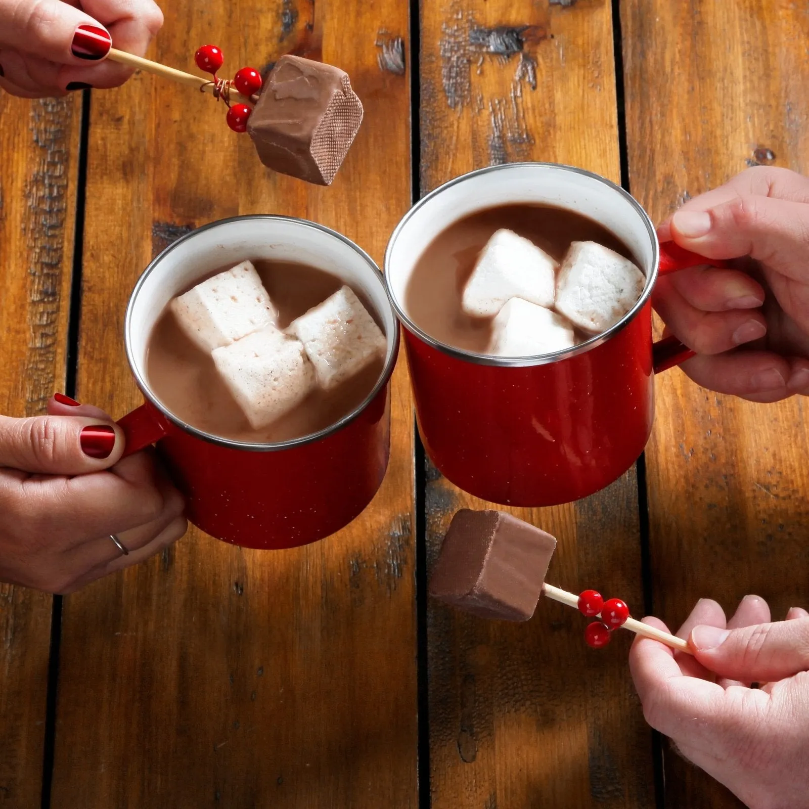 Cozy Campfire Hot Chocolate Gift Set with 2 Thermosteel Mugs