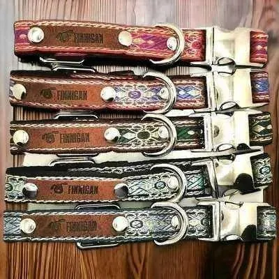 Finnigan Small Dog Collar: Personalised Engraving & Designer Fabrics