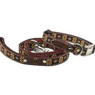 Finnigan's Custom Designer Dog Lead: Pooch Perfection 🐾✨