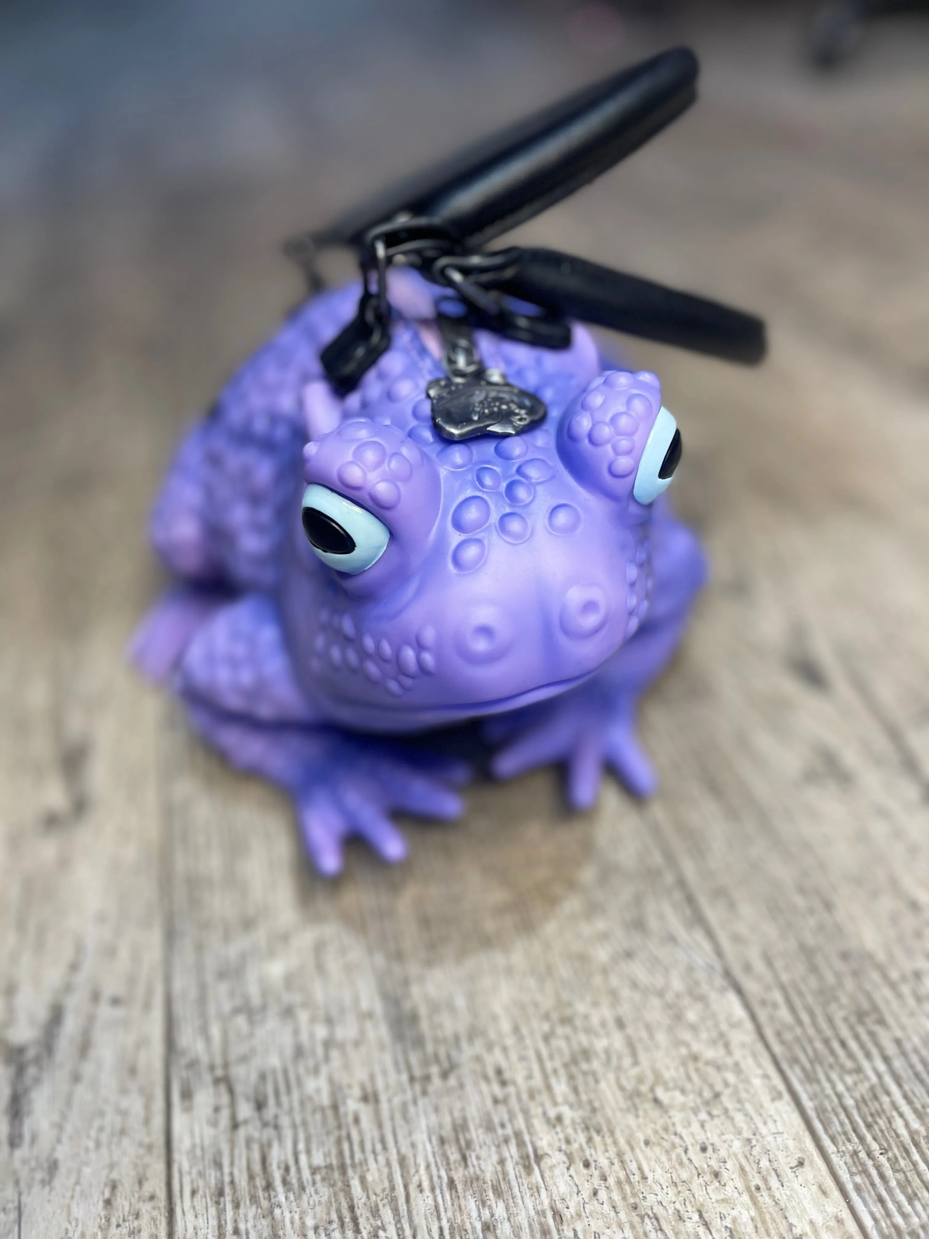 Frog Purse