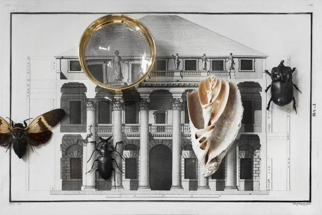 Magnifying Glass | Pallina